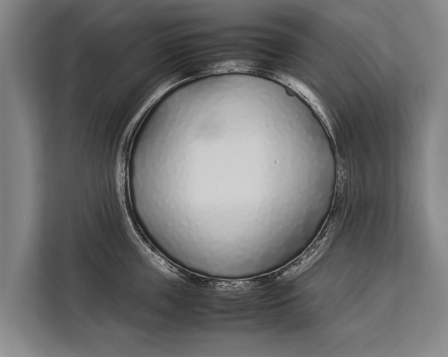 X0000113030859200909171459