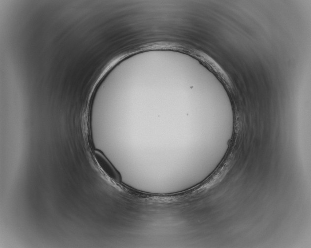 X0000113030860200909171459