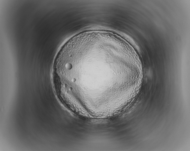 X0000113030863200909171500