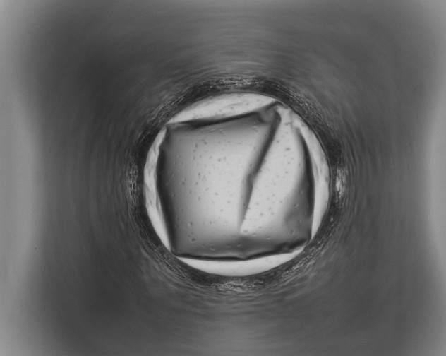 X0000113030867200909171459