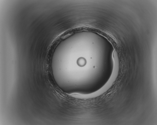 X0000113030872200909171459