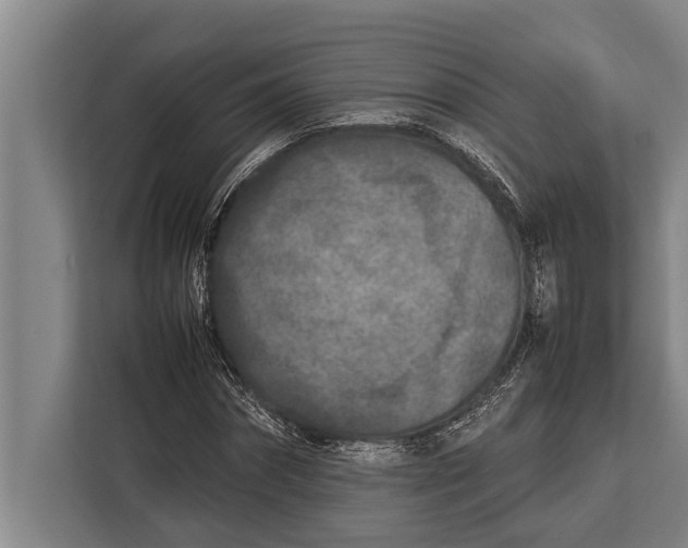 X0000113030874200909171459