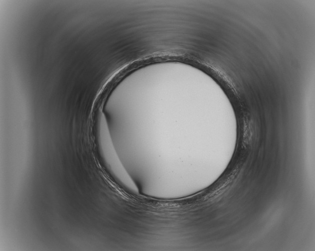 X0000113030878200909171459