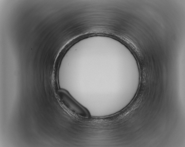 X0000113030880200909171459