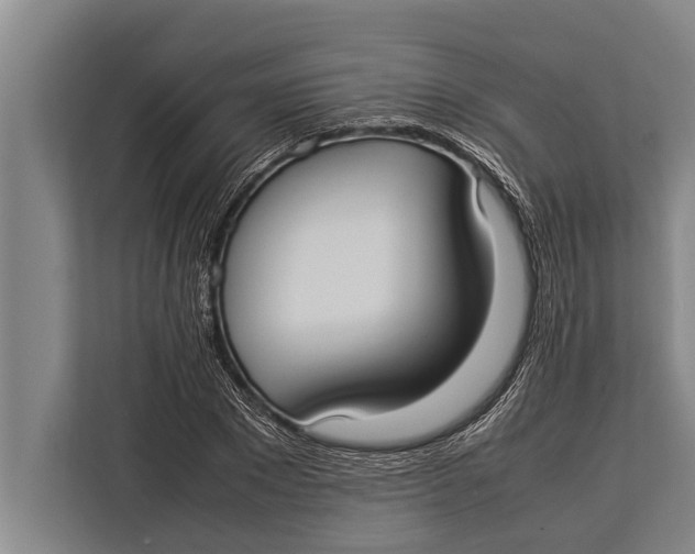 X0000113030881200909171459