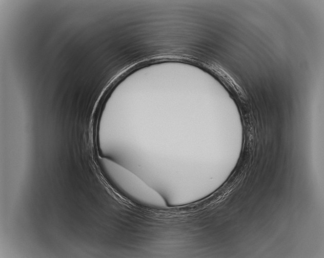 X0000113030884200909171459