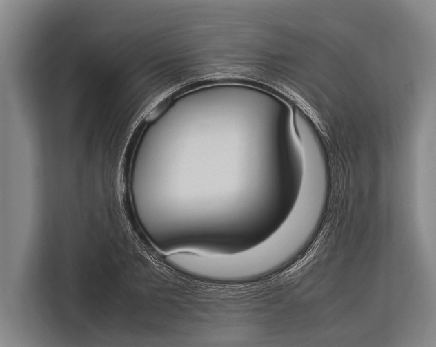 X0000113030885200909171459