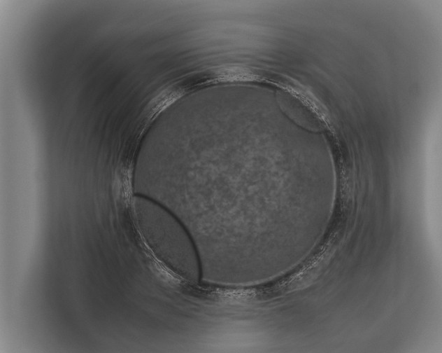 X0000113030889200909171459