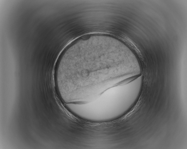 X0000113030892200909171459