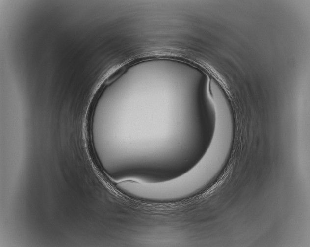 X0000113030893200909171459