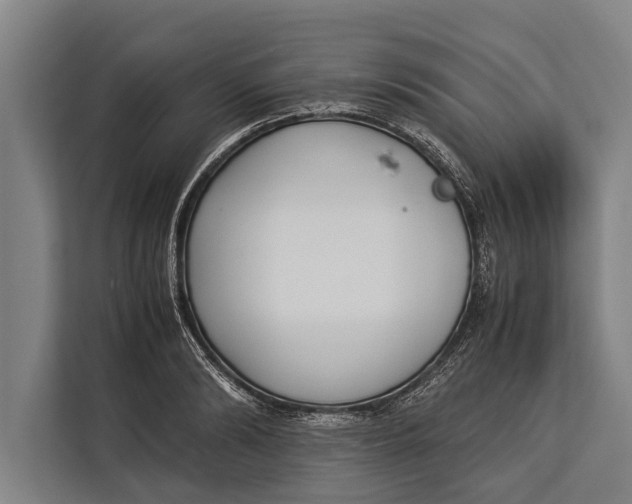 X0000113030894200909171459