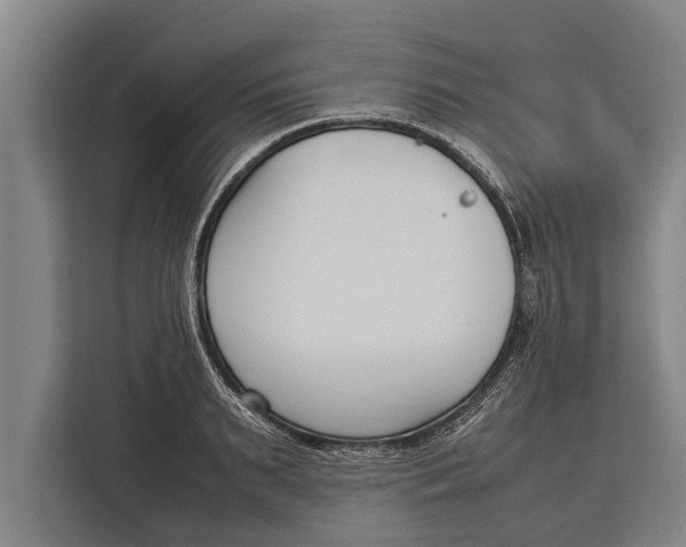 X0000113030895200909171459