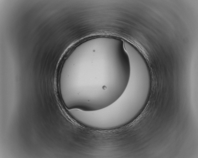 X0000113030896200909171458