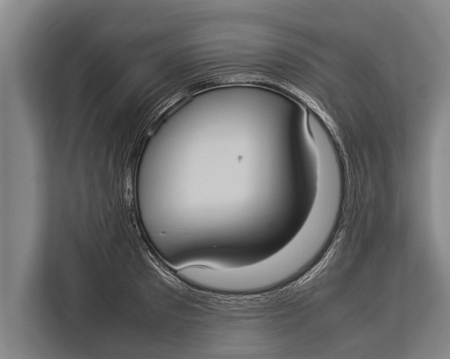 X0000113030897200909171458