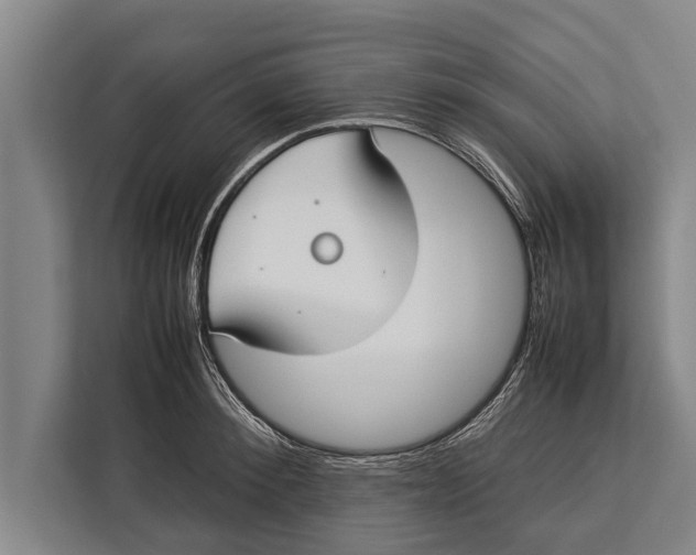 X0000113030900200909171458