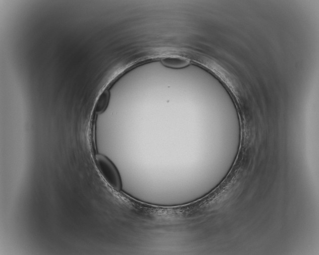 X0000113030901200909171458