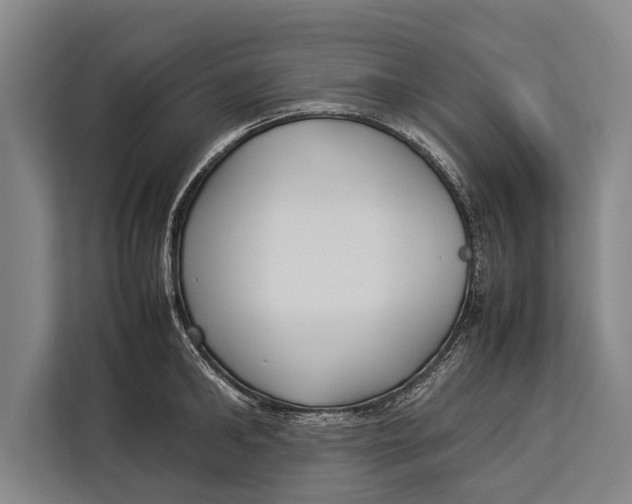 X0000113030902200909171458