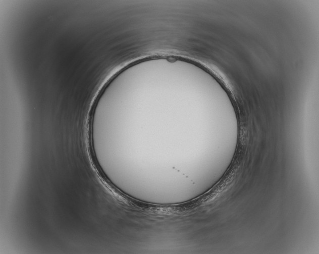 X0000113030903200909171458