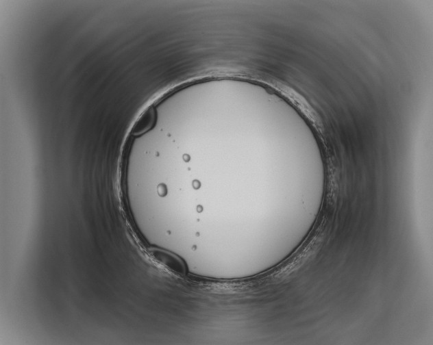 X0000113030904200909171458