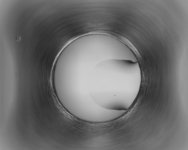 X0000113030908200909171458