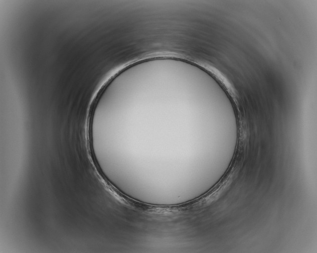 X0000113030910200909171458