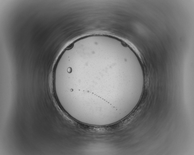 X0000113030911200909171458