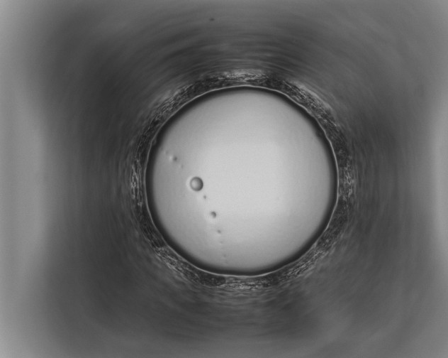 X0000113030917200909171458