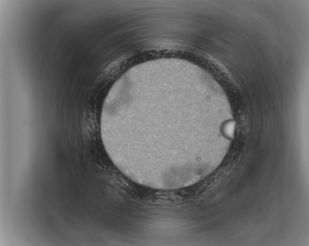 X0000113030918200909171458