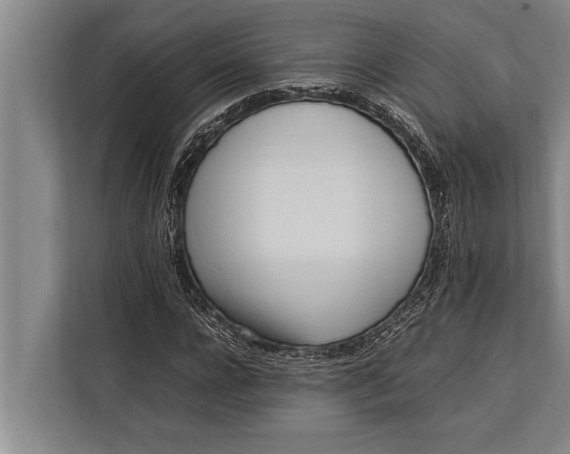 X0000113030920200909171458