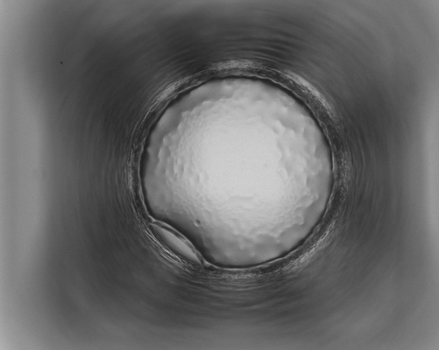 X0000113030921200909171458