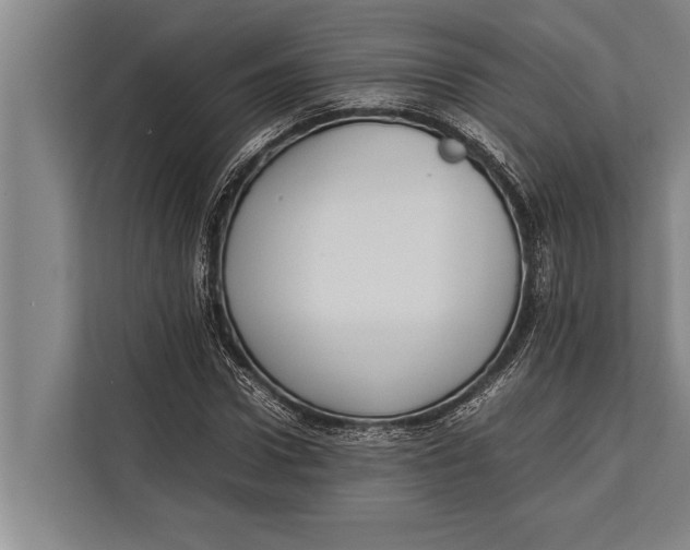 X0000113030922200909171458