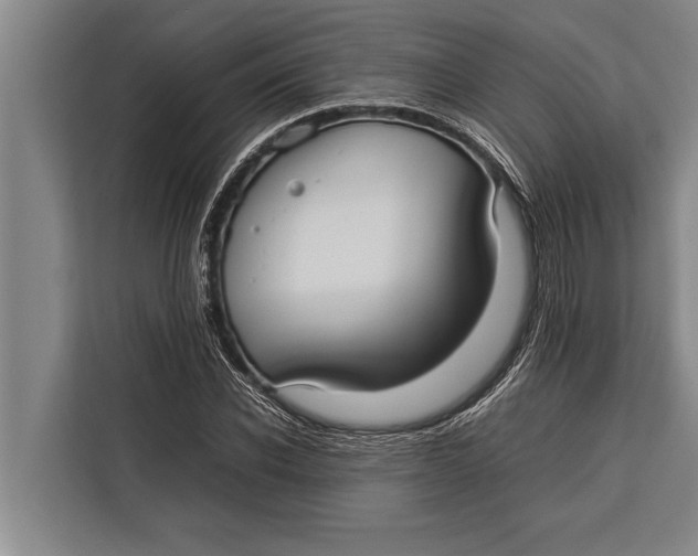 X0000113030926200909171458