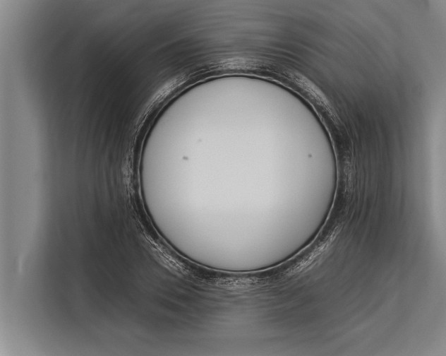 X0000113030930200909171458