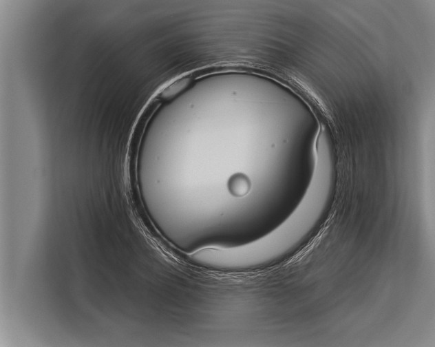 X0000113030932200909171458