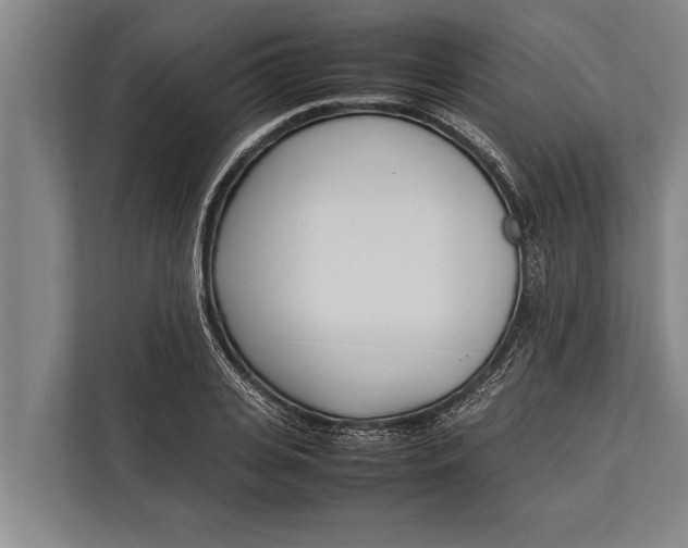 X0000113030935200909171458