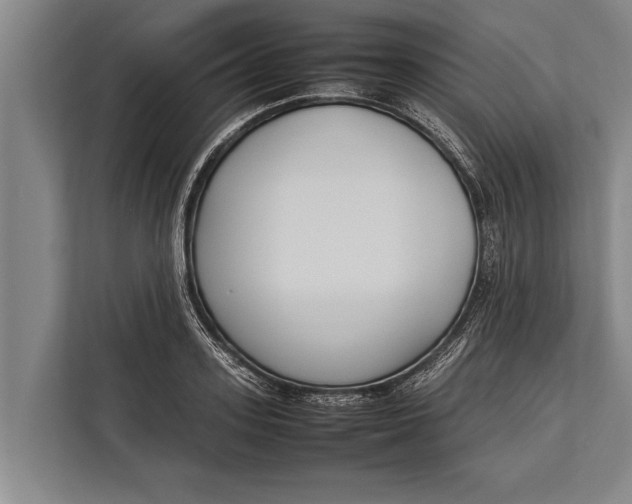 X0000113030939200909171458