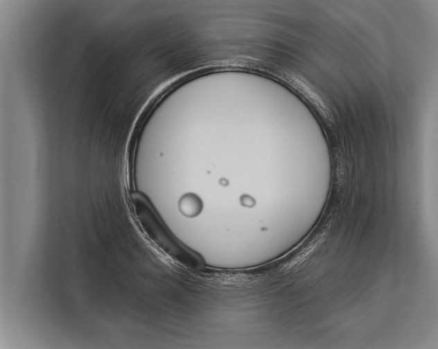 X0000113030940200909171458