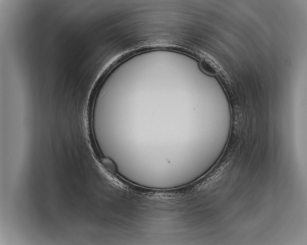 X0000113030942200909171458