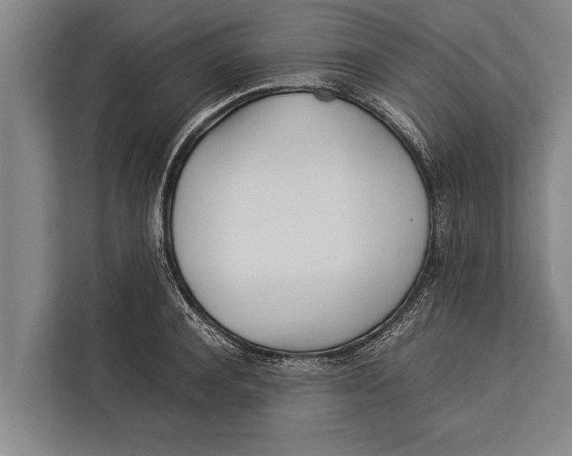 X0000113030944200909171458