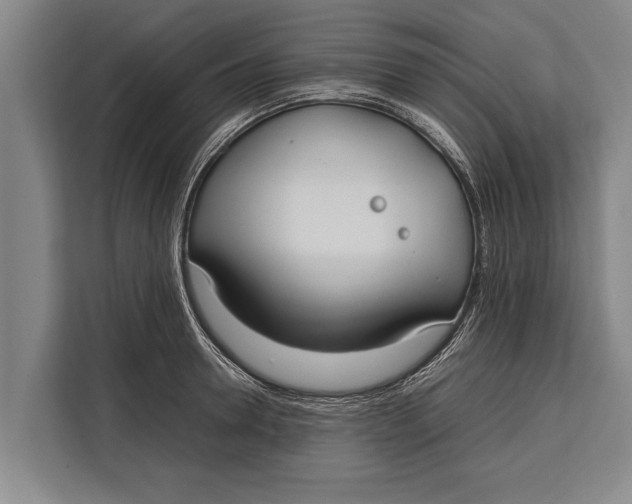 X0000113030946200909171458