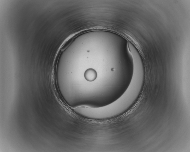 X0000113030948200909171458