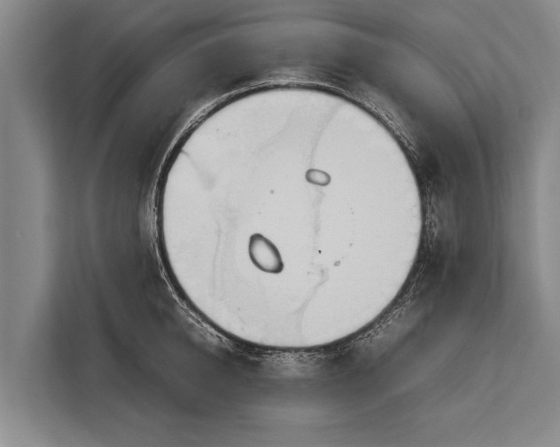 X0000113030950200909171458