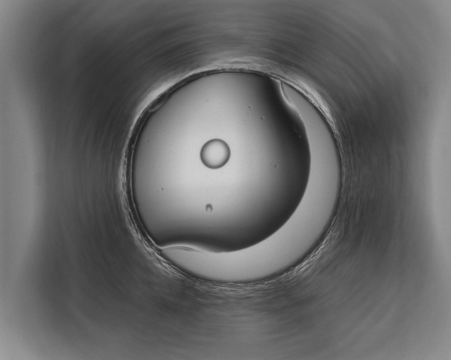 X0000113030952200909171458