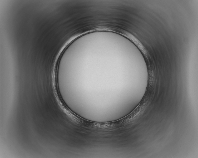 X0000113030955200909171458