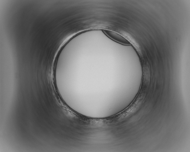 X0000113030956200909171458