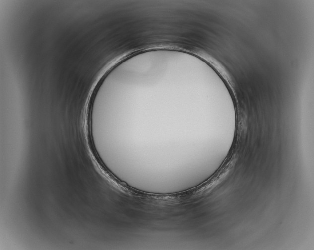 X0000113030957200909171458