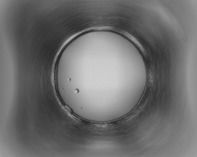 X0000113030959200909171458