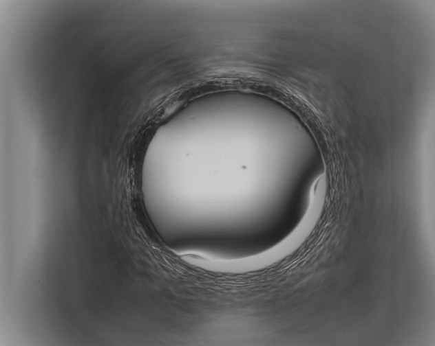 X0000113030965200909171458