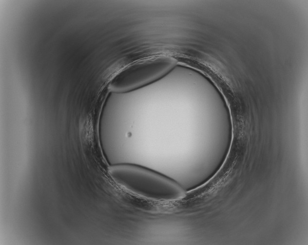 X0000113030969200909171458