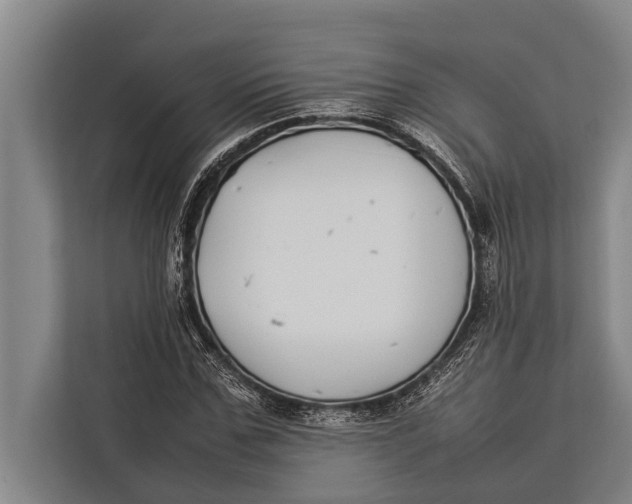 X0000113030971200909171458